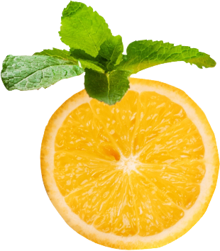 Naturkost