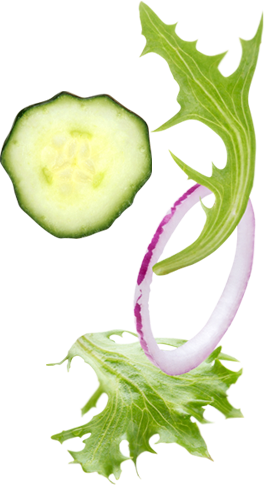 Leitfaden